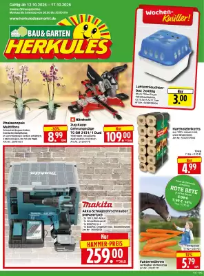 Herkules Baumarkt (gültig bis 17-10)