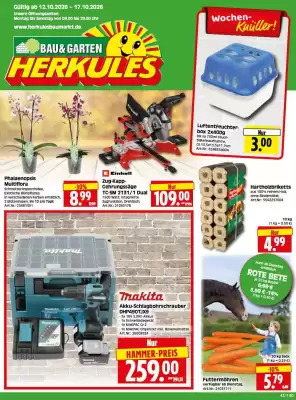 Herkules Baumarkt (gültig bis 17-10)