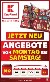 Kaufland Prospekt Seite 1