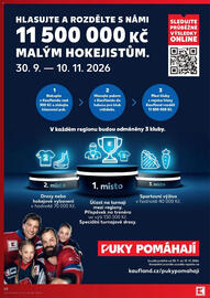 Kaufland leták týden 42 Strana 60