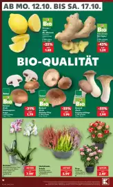 Kaufland Prospekt Seite 22