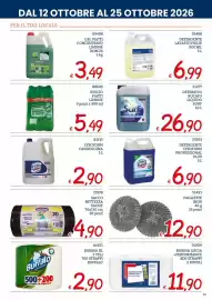 Volantino Zona Pagina 31: Pagliette inox €12,90, Detergente lavastoviglie Sochil €6,99