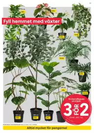 Rusta reklamblad vecka 42 Sida 13