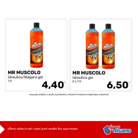 Volantino Iper Tosano settimana 42 Pagina 13: Mr Muscle Idraulico gel €4,40, Mr Muscle Idraulico gel €6,50