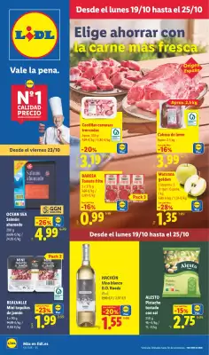 Catálogo Lidl