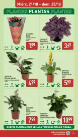 Folleto ALDI semana 43 Página 15: Gardenline Heuchera €3,49, Gardenline bromelia €5,99