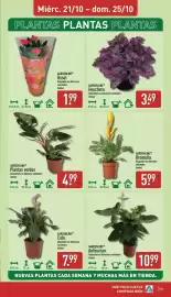 Folleto ALDI semana 43 Página 15: Gardenline Heuchera €3,49, Gardenline bromelia €5,99