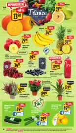 Albert leták | Supermarket Strana 16: Pomelo €39,90, Kaki €13,90