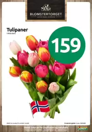 Joker kundeavis uke 42 Side 13: Tulipaner €159,00