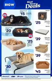 Woolworths catalogue week 42 Page 51: Perfect Pet Memory Foam Pet Bed Large €39,00