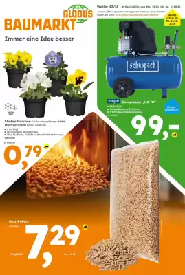 Globus Baumarkt (gültig bis 17-10)