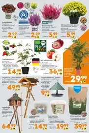Globus Baumarkt Prospekt woche 42 Seite 11