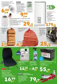 Globus Baumarkt Prospekt woche 42 Seite 8