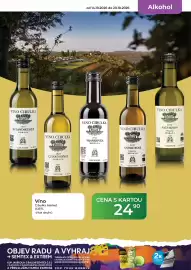 Tamda Foods leták týden 42 Strana 17