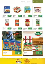 Tamda Foods leták týden 42 Strana 41: Machland nakládaná zelenina €23,90, Essa konzervované fazole €11,90