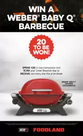 Foodland catalogue week 42 Page 34