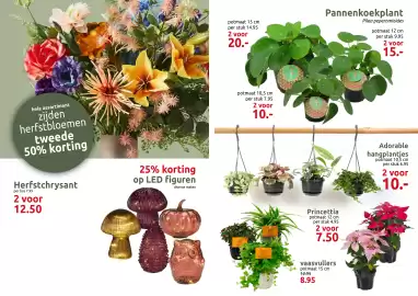 Deka Tuin folder Pagina 2: Adorable hangplantjes €10,00, Vaasvullers €7,50