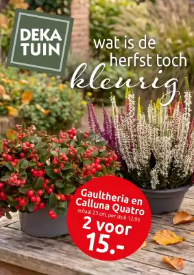 Deka Tuin (geldig t/m 25-10)