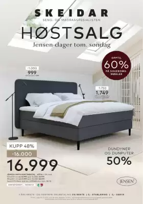 Skeidar kundeavis