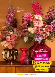 Xenos folder week 42 Pagina 5: Bijv.: ridderspoor. 86 cm. Paars 6.99 Alle kunstbloemen STAPEL KORTING! 30% bij 5+ stuks 20%