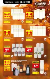 Biedronka gazetka tydzień 42 Strona 17