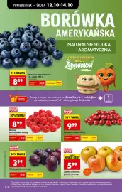 Biedronka gazetka tydzień 42 Strona 20