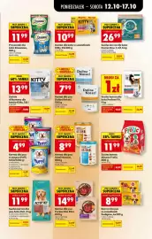 Biedronka gazetka tydzień 42 Strona 63