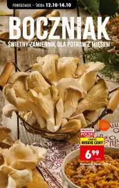 Biedronka gazetka tydzień 42 Strona 66