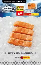 Biedronka gazetka tydzień 42 Strona 81
