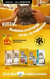 Biedronka gazetka tydzień 42 Strona 85