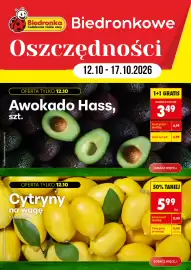 Biedronka gazetka tydzień 42 Strona 1