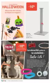 Catalogue Tom&Co page 2: BEEZTEES Arbre à chat €41,39