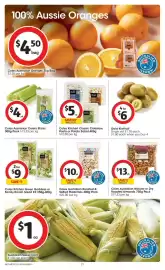 Coles catalogue week 42 Page 21