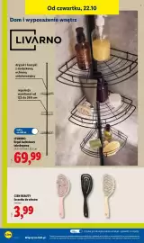 Lidl gazetka tydzień 43 Strona 42: LIVARNO Regal łazienkowy teleskopowy €69,99, Cien beauty Szczotka do włosów €3,99