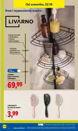 Lidl gazetka tydzień 43 Strona 42: LIVARNO Regal łazienkowy teleskopowy €69,99, Cien beauty Szczotka do włosów €3,99