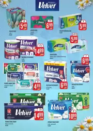 MOKPOL gazetka Strona 11: Papier nawilżany wybrane rodzaje Velvet €4,99, Ręcznik papierowy extra long Velvet €6,99