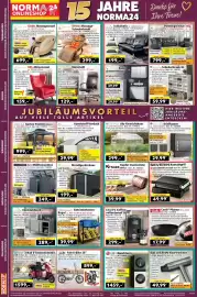 Norma Prospekt woche 43 Seite 2: Kupfer Dachschutz €39,99, Alu-Gewächshaus €299,00