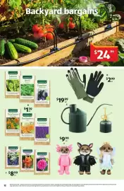 ALDI catalogue week 43 Page 12: Gloves €2,99, Chihuahua Costume Dolls €9,99