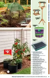 ALDI catalogue week 43 Page 13