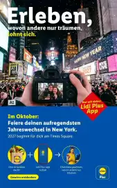Lidl Flugblatt woche 42 Seite 2