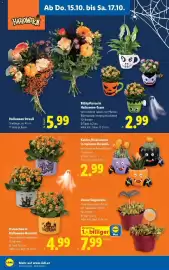 Lidl Flugblatt woche 42 Seite 24