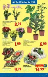 Lidl Flugblatt woche 42 Seite 25