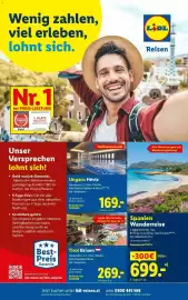 Lidl Flugblatt woche 42 Seite 30