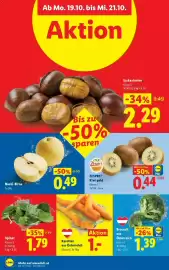 Lidl Flugblatt woche 42 Seite 43