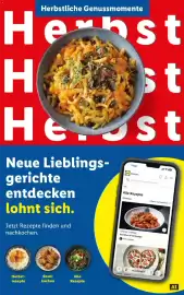 Lidl Flugblatt woche 42 Seite 54