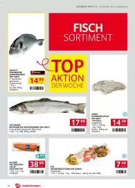 Transgourmet Flugblatt woche 43 Seite 20: Holzinger Bachsaibling €17,99, Sankt Petersfischfilet mit Haut €14,49