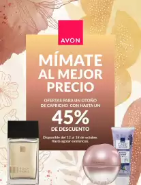 Catálogo AVON semana 42 Página 1