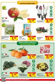 Volantino Despar Pagina 3: Crisantemo a 3 colori €8,99, Patate Iodi Pizzoli €1,86
