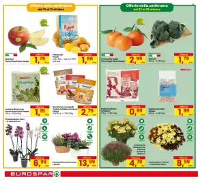 Volantino Eurospar Pagina 6: Phalaenopsis 2 Rami €6,99, Crisantemo a 3 colori €8,99