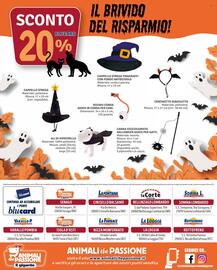 Volantino Il Gigante Pagina 8: SCONTO BLUCARD 20% IL BRIVIDO DEL RISPARMIO! CAPPELLO STREGA Materiale: poliestere. Misura